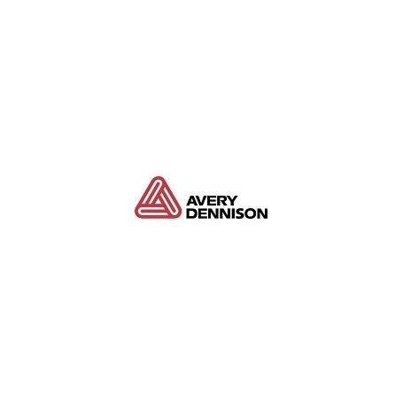 98915 - Avery Dennison Testina di Stampa 300 Dpi per TTX-650