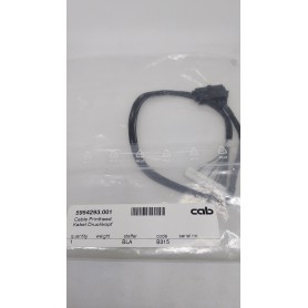 5954293.001 - Cable Printhead - Cavo Collegamento Mainboard/Testina per Stampante CAB A2+ 300 dpi