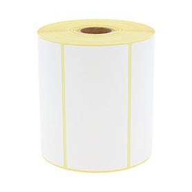 Etichette F.to 100x50mm Carta Termica Adesivo Removibile D.i. 25mm - 1.000 Etichette per Rotolo - Confezione da 10 Rotoli