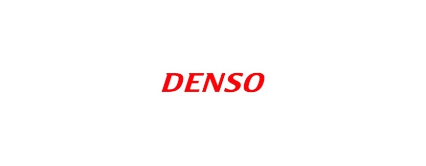 Terminali Portatili Batch Denso