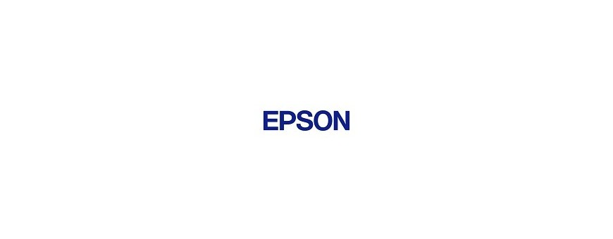 Assistenza Tecnica e Riparazione Stampanti Epson